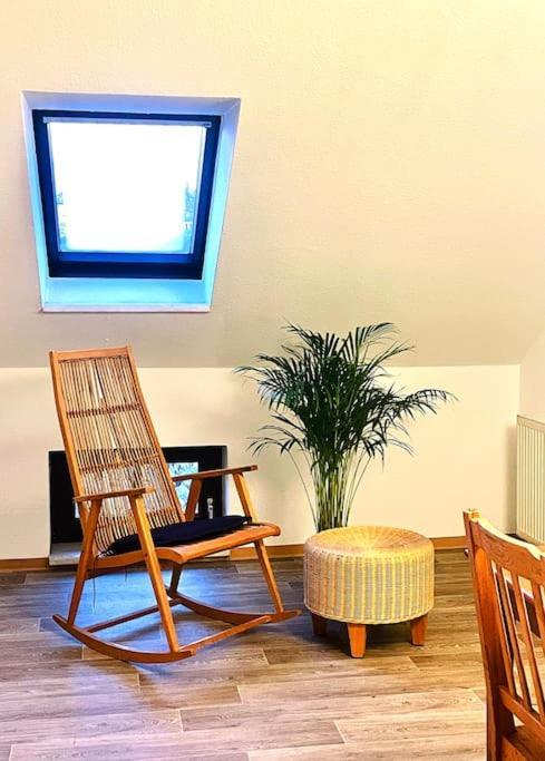 P6 - Familienwohnung Am Park Und Saale Halle  Eksteriør bilde