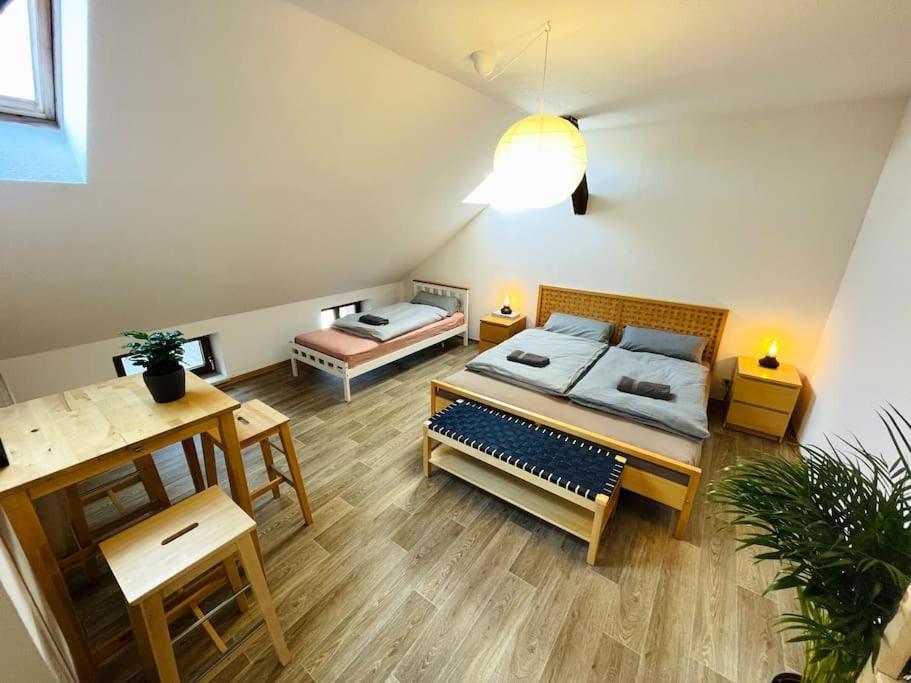 P6 - Familienwohnung Am Park Und Saale Halle  Eksteriør bilde