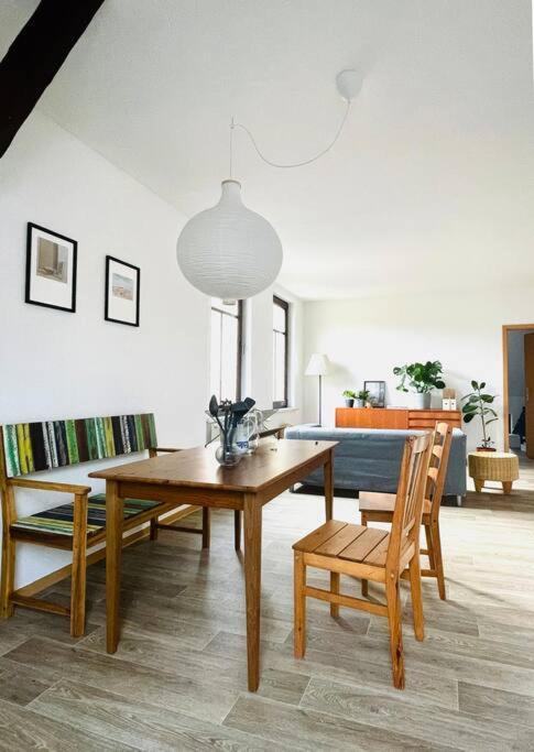 P6 - Familienwohnung Am Park Und Saale Halle  Eksteriør bilde