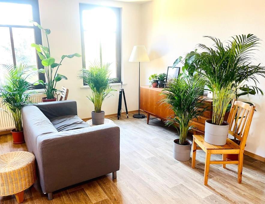 P6 - Familienwohnung Am Park Und Saale Halle  Eksteriør bilde
