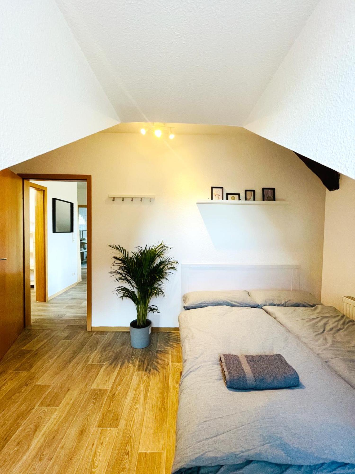 P6 - Familienwohnung Am Park Und Saale Halle  Eksteriør bilde